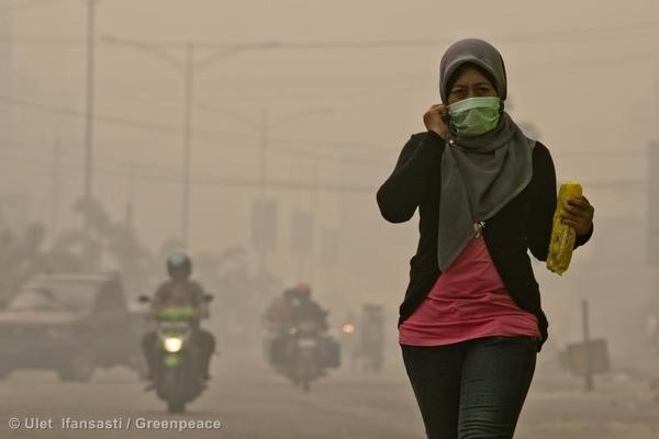A woman wears a mask to protect herself from air pollution caused by the forest fires in Sumatra. The forest fires continue to cause record-breaking air pollution in Singapore and Malaysia.